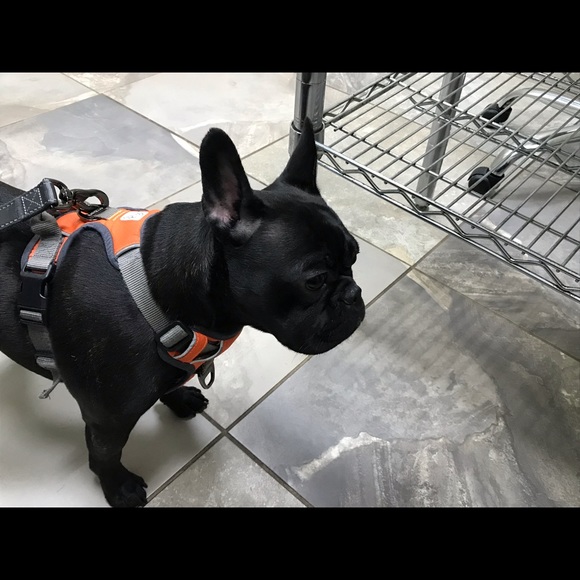 Meet your Posher, Debi - Picture 9 of 15